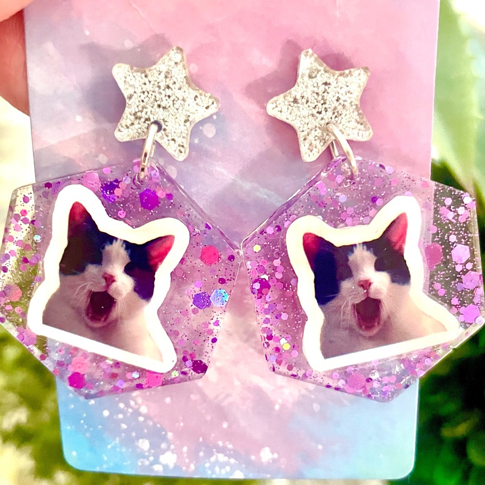 Funny Cat Acrylic Earrings